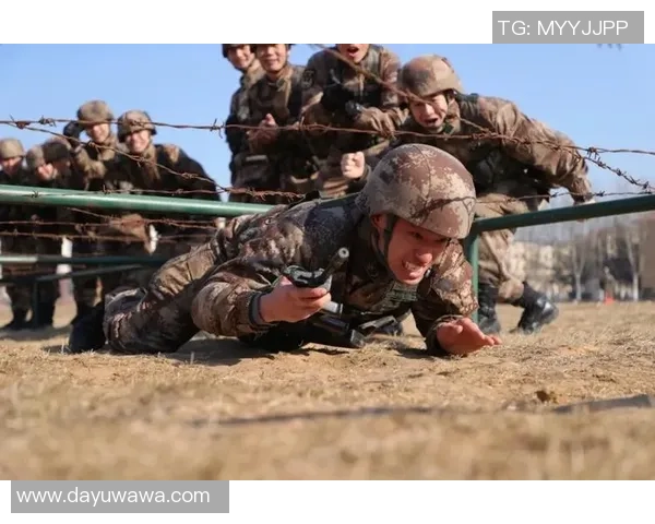 杭州篮球队的技术揭秘：从战术到训练的全方位解析